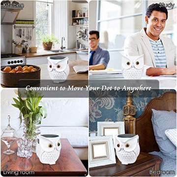 Charming Owl Echo Dot Holder for All Generations