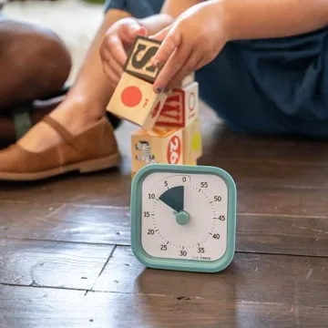 60 Minute Visual Timer for Kids Adults Silent Operation Lake Day Blue