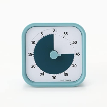 60 Minute Visual Timer for Kids Adults Silent Operation Lake Day Blue