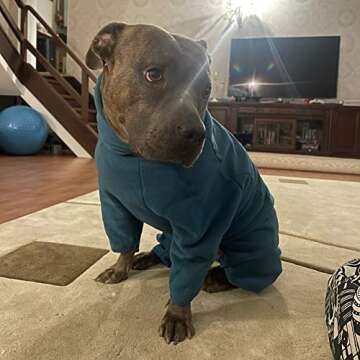 Dog Coat Dog Jackets Polar Fleece Pet Windproof Dog Sweater Pets Apparel Warm Fleece Padded Winter Dogs Coats Puppy Small Medium Large Dog Clothes for Dog Blue 7XL