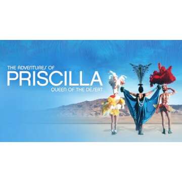The Adventures of Priscilla, Queen of the Desert Film Experience