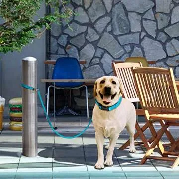 Durable Biothane Multi-Purpose Dog Leash - Made in America