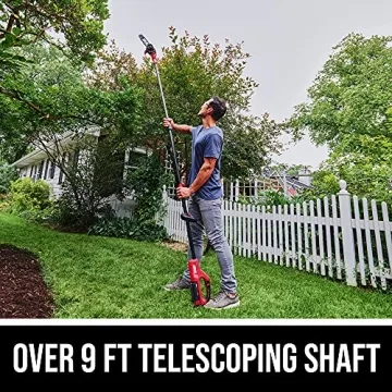 SKIL 40V Brushless Pole Saw Kit with Auto Charger & 2.5Ah Battery