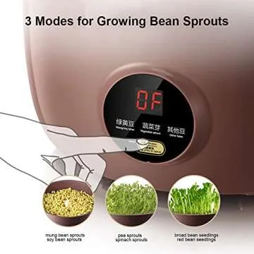 Bear Bean Sprouts Machine, Automatic Bean Sprouts Maker, Purple Clay Seed Sprouting Kit with Germination Container, Automatic Watering DYJ-B01C1，120V，20W