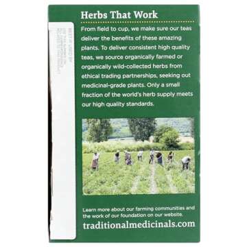 Traditional Medicinals, Organic Reishi Mushroom Tea, 16 Count