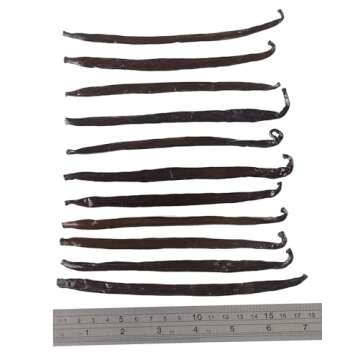 12 Large Vanilla Beans For Making Vanilla Extract Grade A - NON-GMO Planifolia Vanilla Beans Bulk, 6-8 Inches Vanilla Beans For Making Vanilla Extract Grade A+