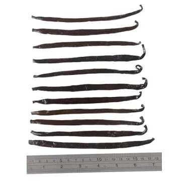 12 Large Vanilla Beans For Making Vanilla Extract Grade A - NON-GMO Planifolia Vanilla Beans Bulk, 6-8 Inches Vanilla Beans For Making Vanilla Extract Grade A+