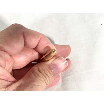 007 James Bond, Collectors Gold Bullet Pendant with 007 Gun Logo