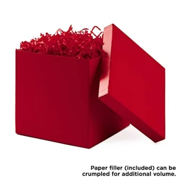 Medium Red Gift Box with Shredded Paper Fill
