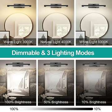 Battery Operated Dimmable Wall Lights for Art Display