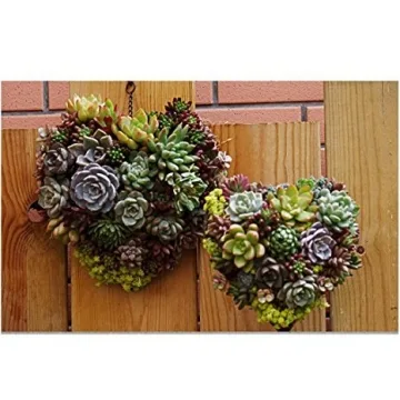 Candyqueen Succulent Planter Heart Hanging Frame for Home