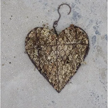 Candyqueen Succulent Planter Heart Hanging Frame for Home