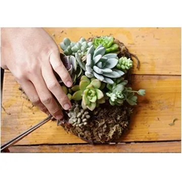 Candyqueen Succulent Planter Heart Hanging Frame for Home