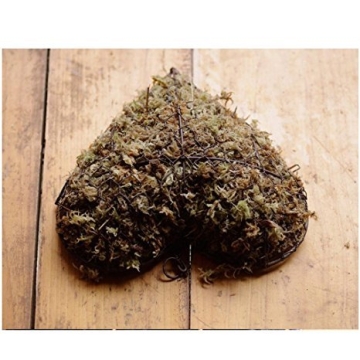 Candyqueen Succulent Planter Heart Hanging Frame for Home