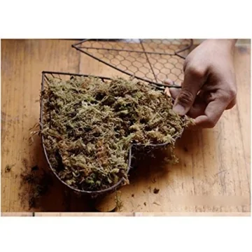 Candyqueen Succulent Planter Heart Hanging Frame for Home