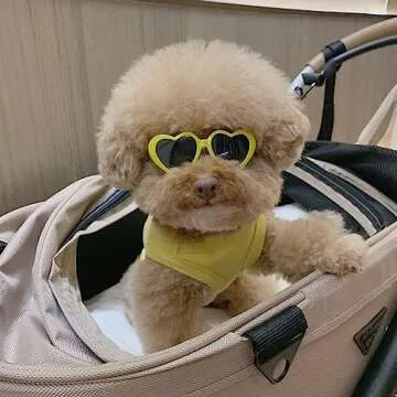 Pink Pet Heart Sunglasses Photos Props Cute Pet Dog Sunglasses Cat Glasses Sun Flower Glasses Pets Party Decor for Small Dogs Cat Accessories Cute Pet Dog Sunglasses
