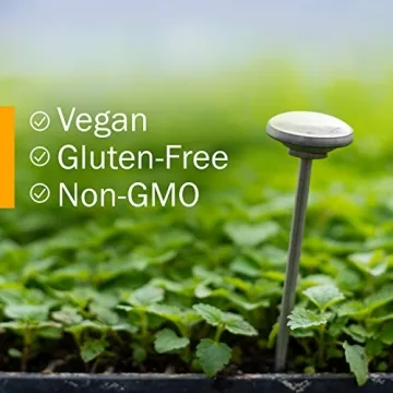 Herb Pharm Kava Extract for Stress Relief - 4 Ounce