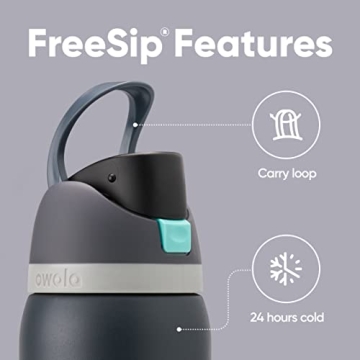 Owala FreeSip Insulated Water Bottle - 24oz Foggy Tide