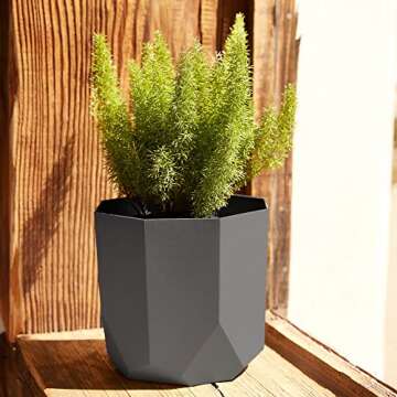 Bloem Tuxton Modern Hexagon Small Planter 10"