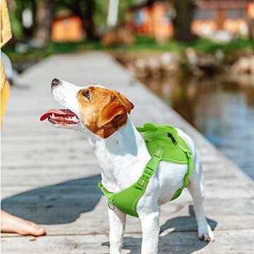 IDOMIK Dog Backpack Harness, No-Pull Dog Backpack with D-Ring for Small Medium Dogs, Cute Self Carrier Backpack for Dogs to Wear, Adjustable Dog Harness Backpack for Traveling Camping Hiking, Frog, XS