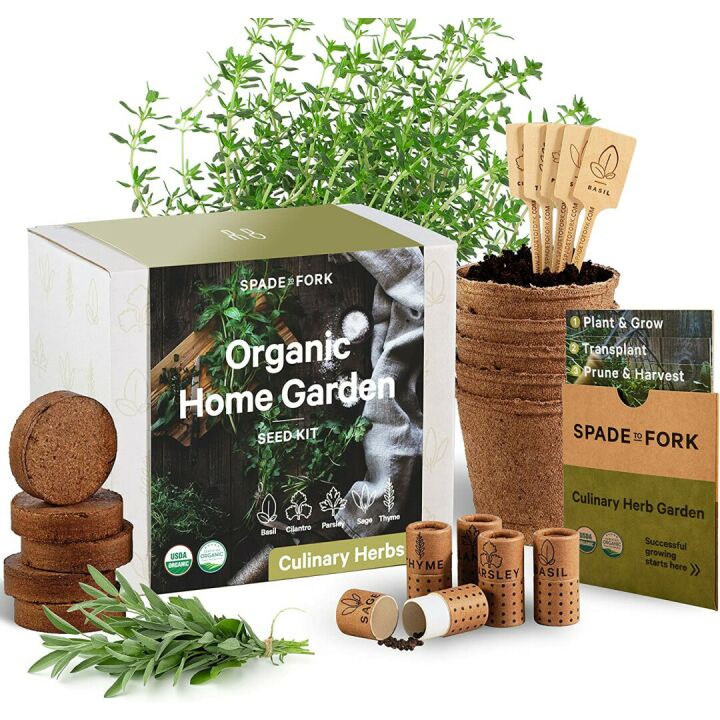 Indoor Organic Herb Garden Starter Kit for Beginners