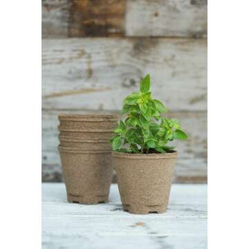Indoor Organic Herb Garden Starter Kit for Beginners