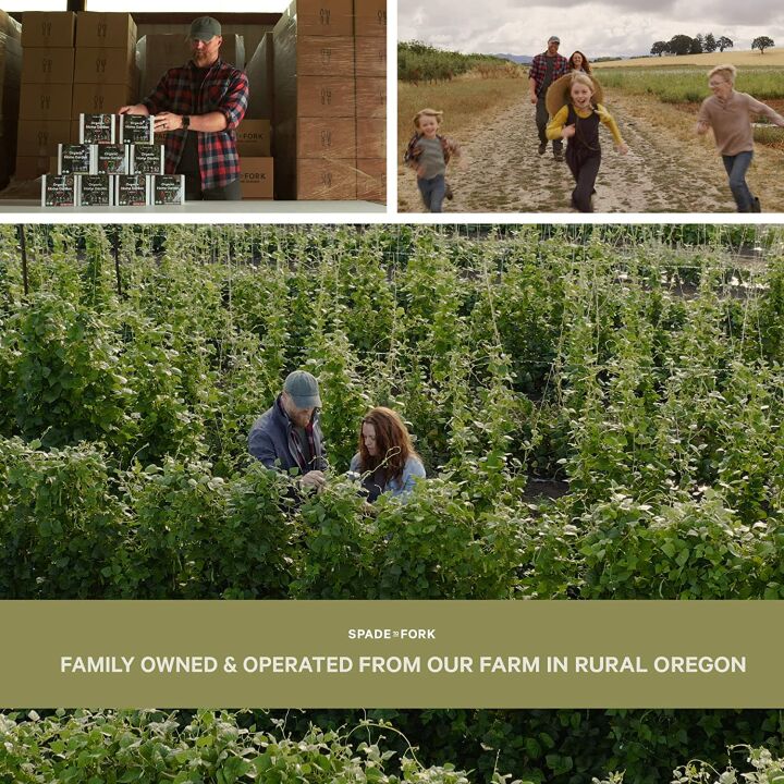 Indoor Organic Herb Garden Starter Kit for Beginners