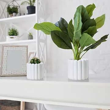 Olly & Rose Vertical Striped Plant Pots for Indoor & Outdoor