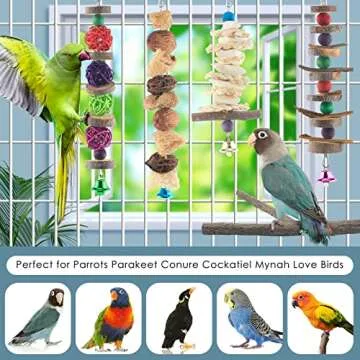 Bissap Bird Chew Toys, 5 Packs Parakeet Natural Wood Toys Parrot Hanging Cage Toy Bird Perch Stand for Small Bird Conure Cockatiel Parrotlet Lovebird Budgie