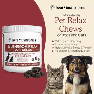 Real Mushrooms Calming Chews for Dogs - Cat Dog Treats w Reishi Lions Mane, Dogs, Relaxation, Bites ...