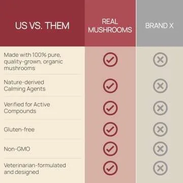 Real Mushrooms Calming Chews for Dogs - Cat Dog Treats w Reishi Lions Mane, Dogs, Relaxation, Bites Pet, 60ct