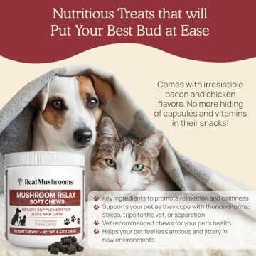 Real Mushrooms Calming Chews for Dogs - Cat Dog Treats w Reishi Lions Mane, Dogs, Relaxation, Bites Pet, 60ct