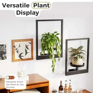 Bamworld Wall Planters for Indoor Plants Metal Wall Plant Holder Plant Hanger Wall Decor Wall-Mounted Wall Hanging Planters Outdoor Plant Rack Black 2 Pack (Patent Design)