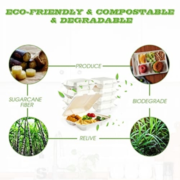 Vplus Compostable Clamshell Containers 90 Pack 8"X8"