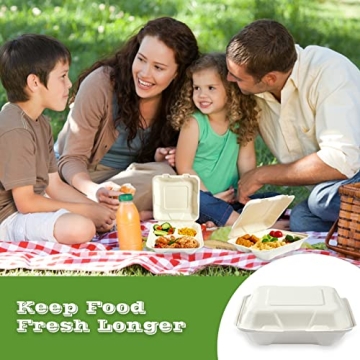 Vplus Compostable Clamshell Containers 90 Pack 8"X8"