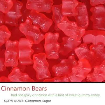 Cinnamon Bear Scented - 12 Pack - Scented Tealight Candles - Soy Beeswax Blend - Handmade in The USA - Candeo Candle - Holiday Christmas Scents