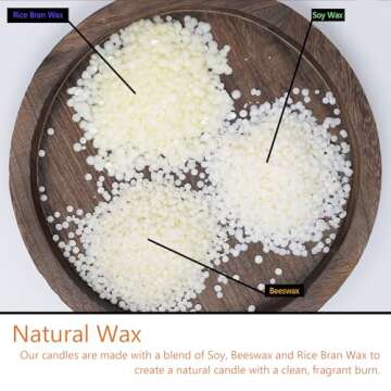 Cinnamon Bear Scented - 12 Pack - Scented Tealight Candles - Soy Beeswax Blend - Handmade in The USA - Candeo Candle - Holiday Christmas Scents