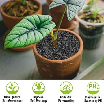 Legigo 8QT All Natural Horticultural Charcoal- Activated Hardwood Plant Charcoal for Soil Amendment, Conditioning Bonsai Soil, Succulent Soil, Terrarium Supplies, Indoor Plant Potting Soil