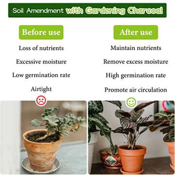 Legigo 8QT All Natural Horticultural Charcoal- Activated Hardwood Plant Charcoal for Soil Amendment, Conditioning Bonsai Soil, Succulent Soil, Terrarium Supplies, Indoor Plant Potting Soil