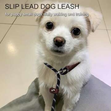 Boswany 7Ft Slip Lead Dog Leash for Small Dogs, No Pull Small Puppy Pet Training Leash, Lightweight Nylon Rope Leash, Black