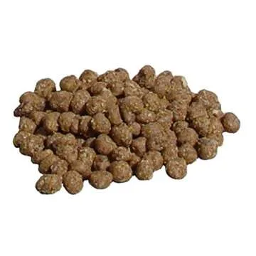 C&S Wild Bird Woodpecker Suet Nuggets Mega Box, 8 Pounds