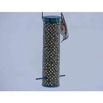 C&S Wild Bird Woodpecker Suet Nuggets Mega Box, 8 Pounds