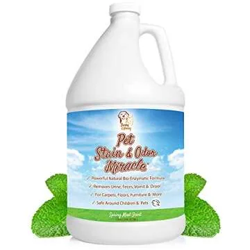 Carpet Miracle & Pet Stain Bundle - Spring Mint Freshness