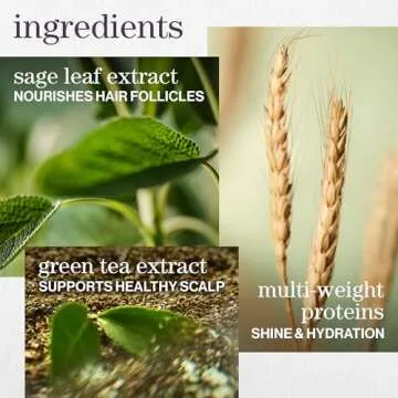 Pureology Hydrate Moisturizing Conditioner | For Medium to Thick Dry, Color Treated Hair | Sulfate-Free | Vegan