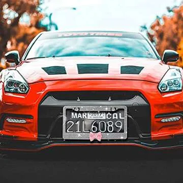 2 Pack Bling License Plate Frame，Handcrafted Bling Rhinestone Premium Stainless Steel License Plate Frame，14 Facets Clear Color Rhinestone Crystal (Silver&Pink-Bow)