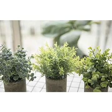 THE BLOOM TIMES Set of 3 Small Potted Artificial Plants Plastic Fake Greenery Faux Plants in Pots for Rustic Home Office Desk Farmhouse Bathroom Kitchen Indoor Decor