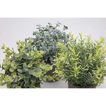 THE BLOOM TIMES Set of 3 Small Potted Artificial Plants Plastic Fake Greenery Faux Plants in Pots for Rustic Home Office Desk Farmhouse Bathroom Kitchen Indoor Decor