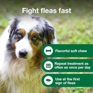Fast Relief with Advantus Dog Flea Treatment Chews