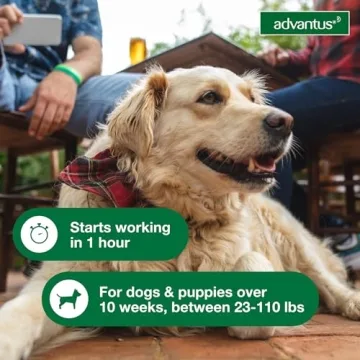 Fast Relief with Advantus Dog Flea Treatment Chews