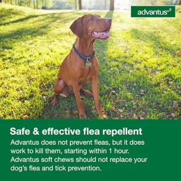 Fast Relief with Advantus Dog Flea Treatment Chews